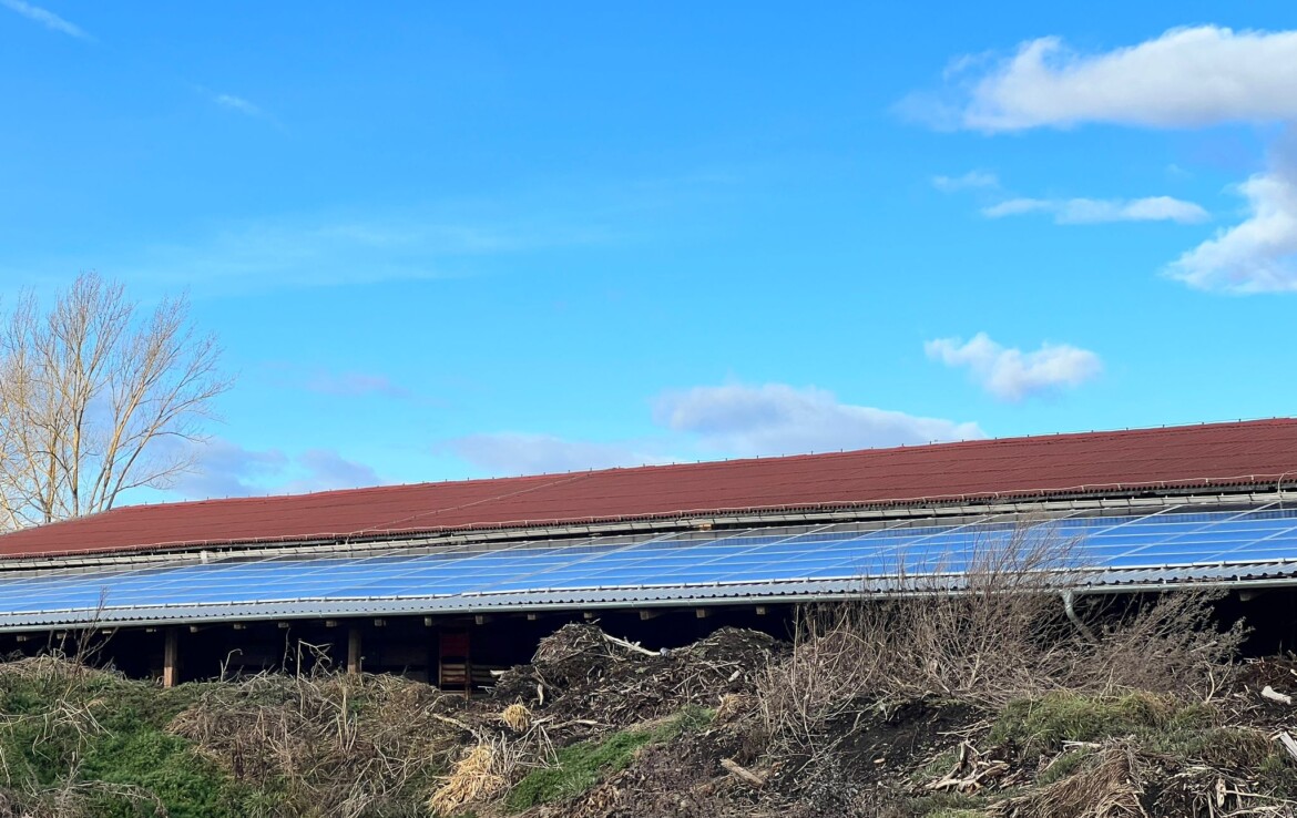 240 kWp Photovoltaik Investment mit hohen Steuervorteilen - Neundorf Thüringen - Global